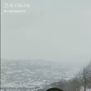 河南周口脑控受害者《视频》