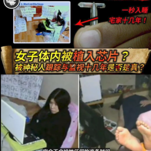 Chip chan事件：女生被植入芯片？被人跟踪监视十几年是否属实？ ... ...