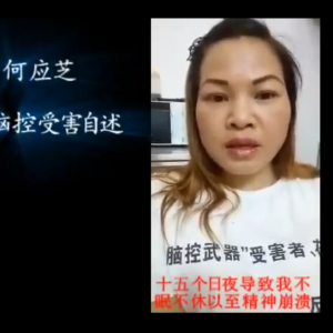 湖南受害者 何应芝《视频》
