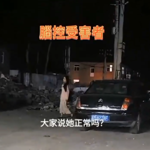 金巧臻 大街训斥控狗《视频》