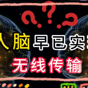 人脑无线传输