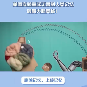 解密大脑的奥秘
