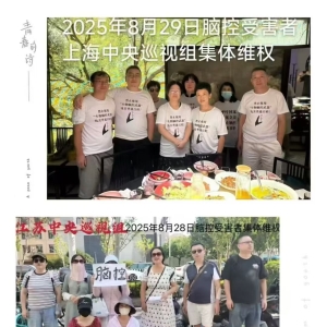 各省脑控受害者代表在驻各省中央巡视组报案